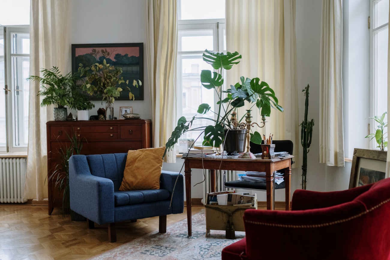 Un plant de monstera deliciosa posé sur une table dans un appartement