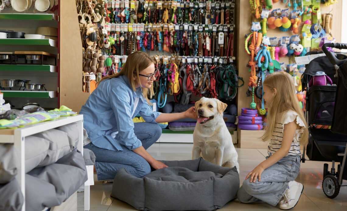 choix magasin animaux
