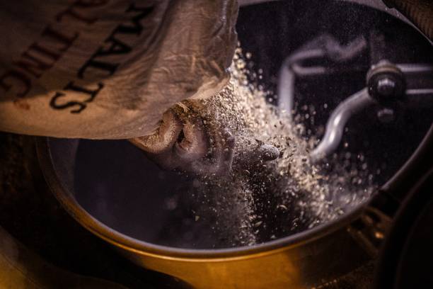 kit brassage bière maison