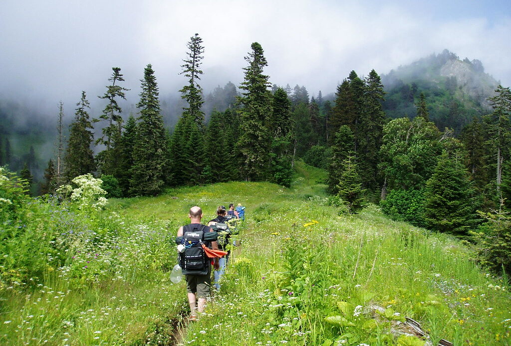 parcs nationaux de Géorgie