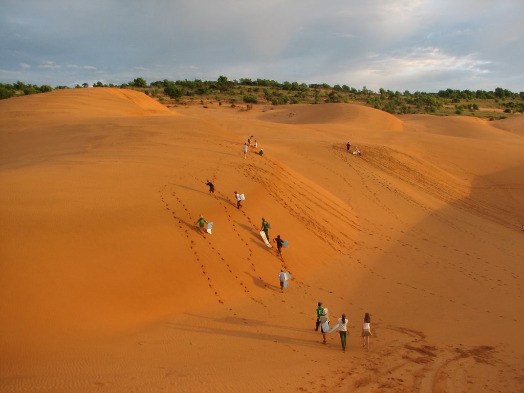 dunes de sable